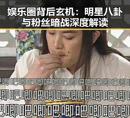 娱乐圈背后玄机：明星八卦与粉丝暗战深度解读