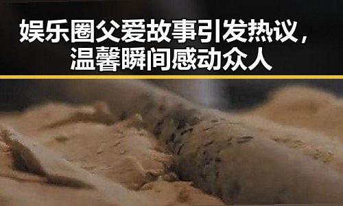 娱乐圈父爱故事引发热议，温馨瞬间感动众人